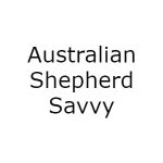 Australian Shepherd Savvy