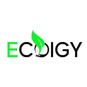 Ecoigy coupon codes