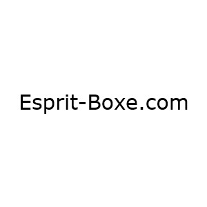 Esprit-Boxe.com