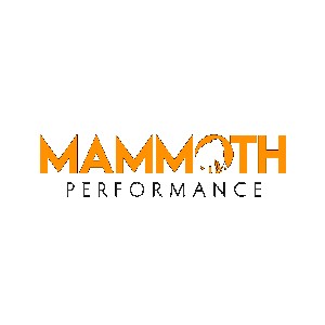 Mammoth Performance coupon codes