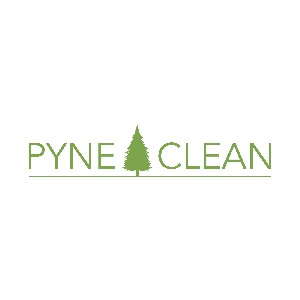 Pyne Clean coupon codes