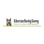 Siberian Husky Savvy