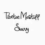 Tibetan Mastiff Savvy
