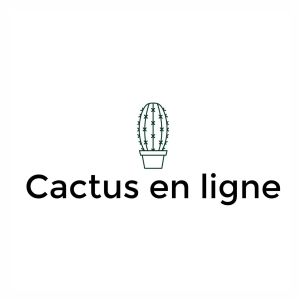 Cactus en Ligne promo codes