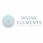 Divine Elements promo codes