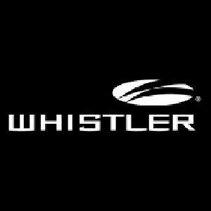 The Whistler Group coupon codes